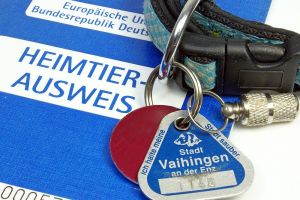 Hundesteuer Malteser