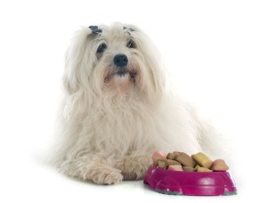 Malteser Trockenfutter