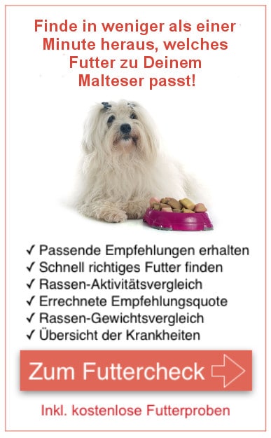 Futterproben Malteser