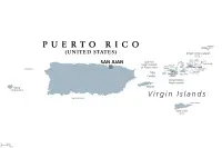 Malteser Züchter in Puerto Rico,Estado Libre Asociado de Puerto Rico Malteser Züchter in Puerto Rico,Estado Libre Asociado de Puerto Rico