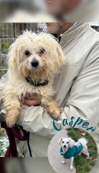 Ich heiße Casper ...