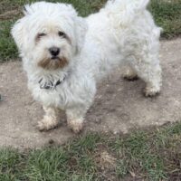 Ich heiße Kimmi ...