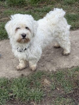 Ich heiße Kimmi ...